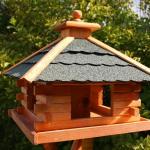 What can you make a bird feeder from - wood, plywood, bottle, scrap materials Creative do-it-yourself feeder