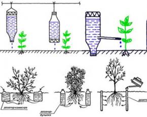 Mini automatic waterers for plants from a plastic bottle Do-it-yourself automatic watering from plastic bottles